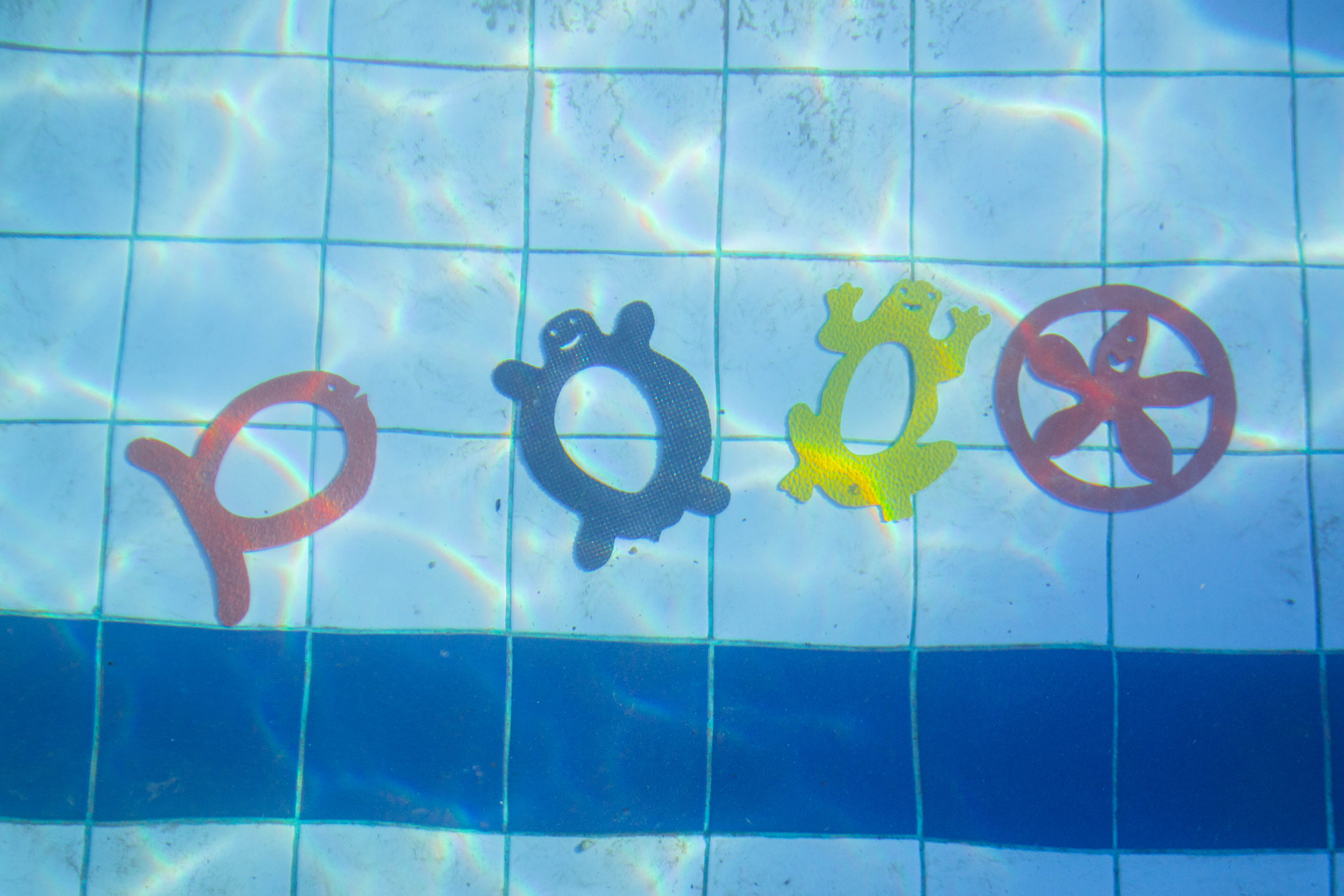 Animal Ring Submersos Para Piscina - 04 Unidades - Natação Infantil